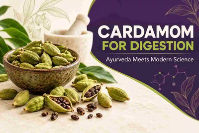 Green cardamom pods and seeds displayed in a rustic bowl with a mortar and pestle, illustrating cardamom for digestion and its benefits through Ayurveda and modern science.