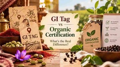 GI Tag vs Organic Certification comparison featuring Indian spices, green cardamom, saffron and black pepper, highlighting origin-based identity and organic farming standards.