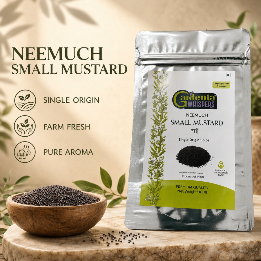 Neemuch Small Mustard - Potent Yellow Sarson Seeds