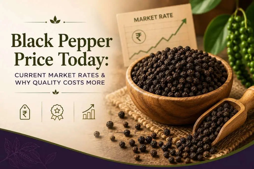 Black Pepper Price Today: Current Market Rates & Why Quality Costs More