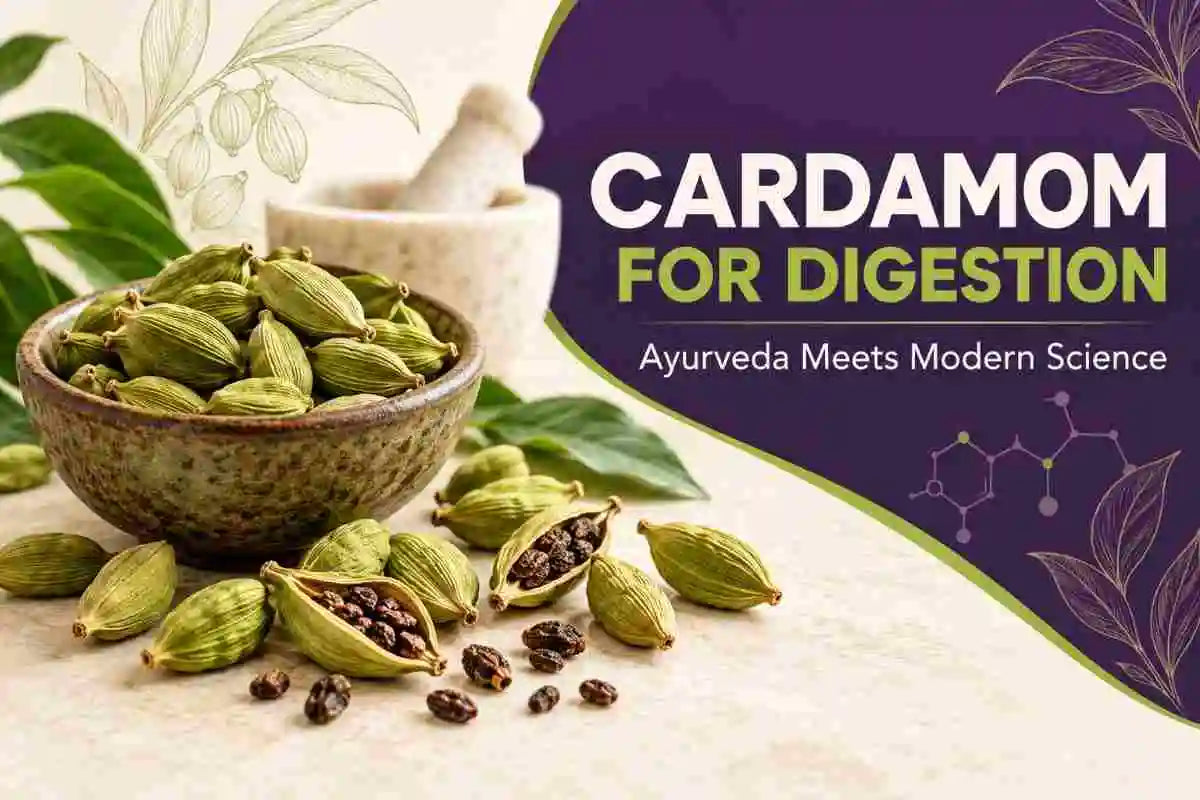 Green cardamom pods and seeds displayed in a rustic bowl with a mortar and pestle, illustrating cardamom for digestion and its benefits through Ayurveda and modern science.