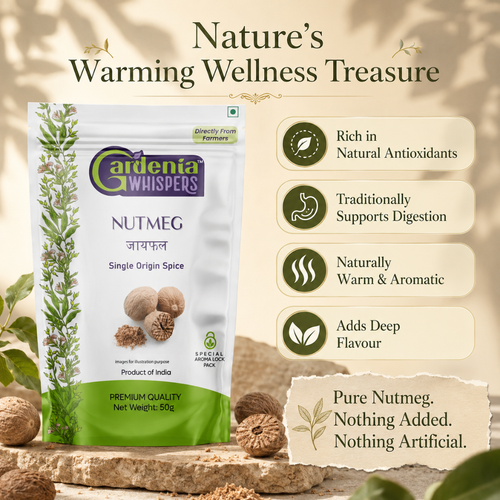 Idukki Shelled Nutmeg - Aromatic Kerala Jaiphal