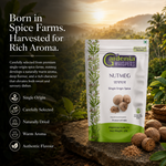 Idukki Shelled Nutmeg - Aromatic Kerala Jaiphal 4