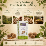Idukki Shelled Nutmeg - Aromatic Kerala Jaiphal 6