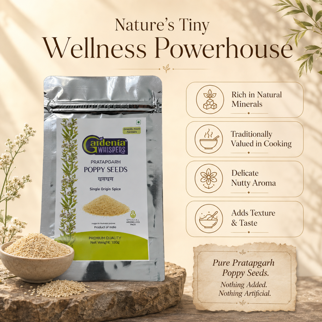 Pratapgarh Poppy Seeds – Premium Rajasthani Khus Khus
