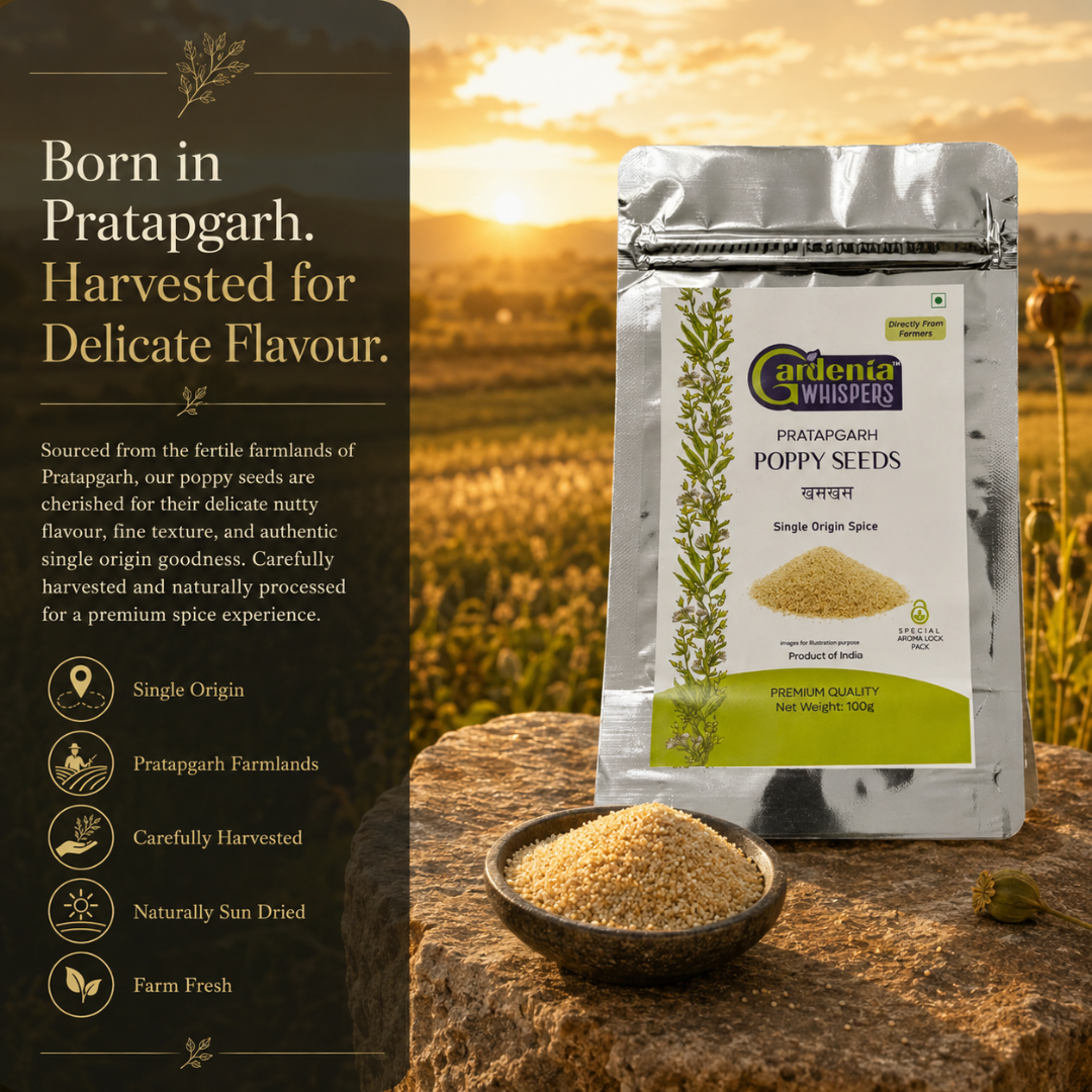 Pratapgarh Poppy Seeds – Premium Rajasthani Khus Khus