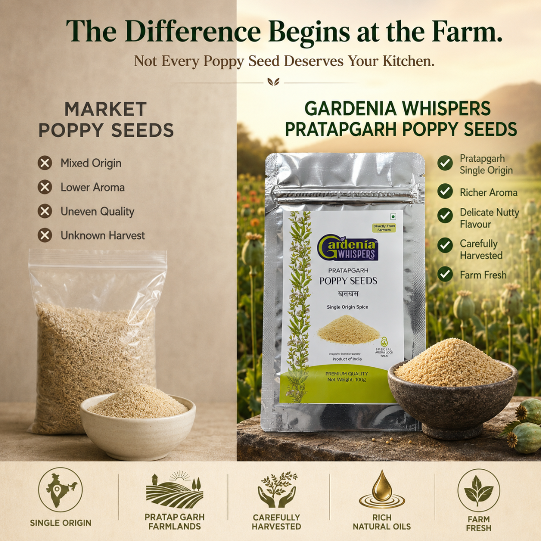Pratapgarh Poppy Seeds – Premium Rajasthani Khus Khus