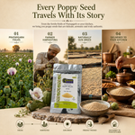 Pratapgarh Poppy Seeds – Premium Rajasthani Khus Khus 5