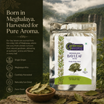 Meghalaya Bay Leaf – Wild Harvested Tej Patta from the Northeast 4