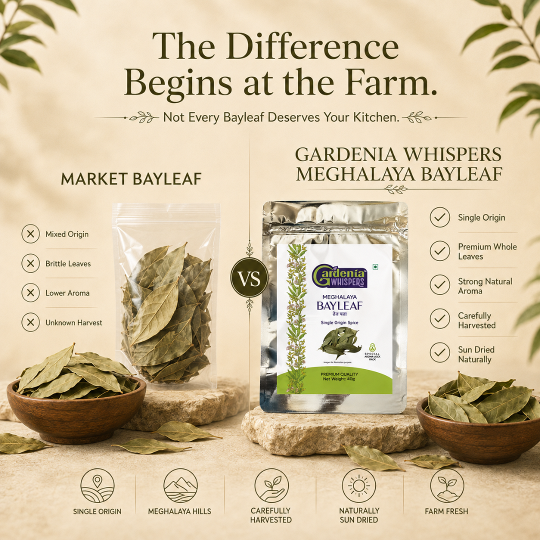 Meghalaya Bay Leaf – Wild Harvested Tej Patta from the Northeast