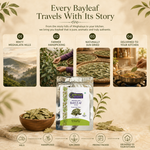 Meghalaya Bay Leaf – Wild Harvested Tej Patta from the Northeast 5