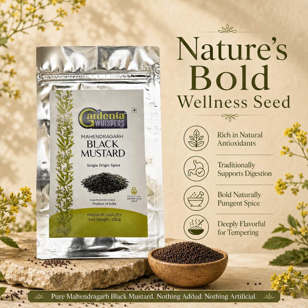 Mahendragarh Black Mustard – Rai Seeds from Haryana