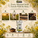 Mahendragarh Black Mustard – Rai Seeds from Haryana 5