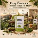Idukki Green Cardamom - Kerala's Queen of Spices 5