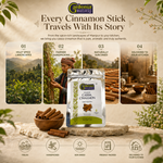 Manipur Cassia Cinnamon - Bold Himalayan Dalchini Bark 5