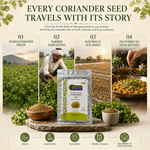 Ramganj Mandi Coriander – India's Coriander Capital Dhaniya 6