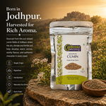 Farm-Fresh Jodhpur Cumin Seeds - Rajasthan's Finest Jeera 4