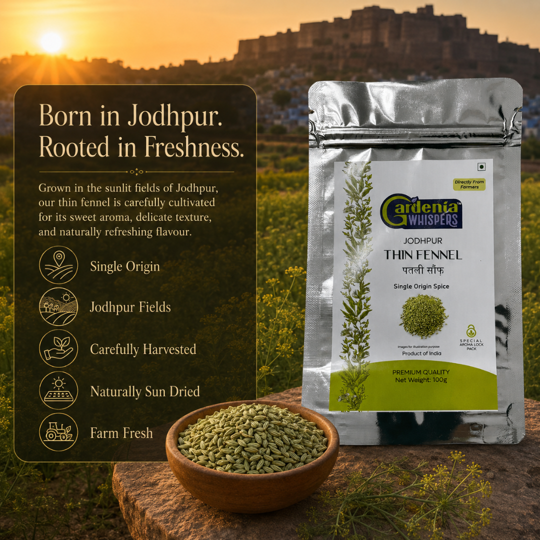 Jodhpur Fennel – Aromatic Rajasthani Saunf