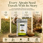 Neemuch Ajwain - Carom Seeds from Madhya Pradesh 5