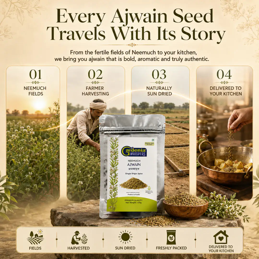 gardenia whisper neemuch ajwain story- Neemuch Ajwain - Carom Seeds from Madhya Pradesh- Gardenia Whispers
