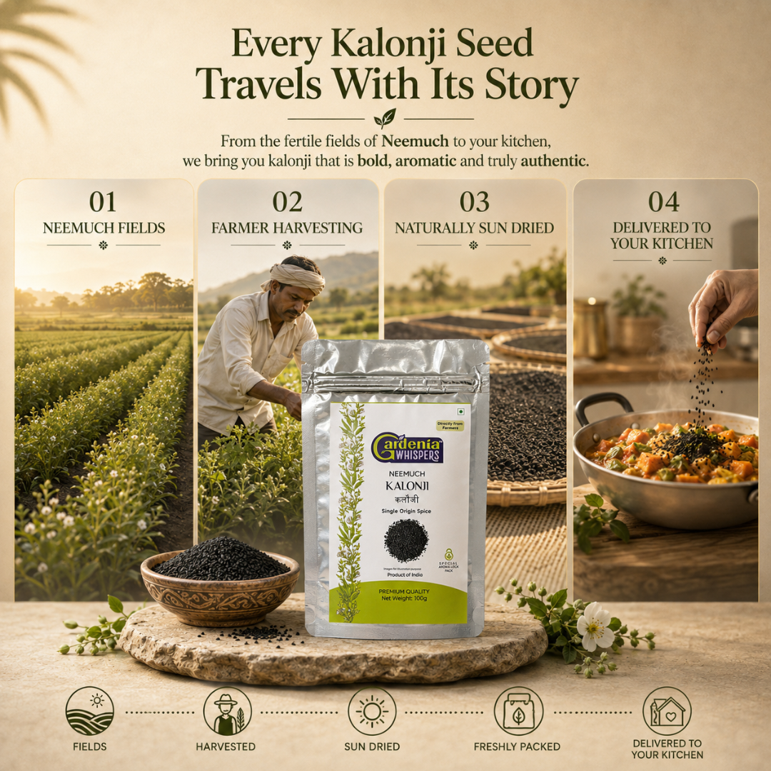 Neemuch Kalonji – Nigella Seeds (Black Cumin) from Rajasthan