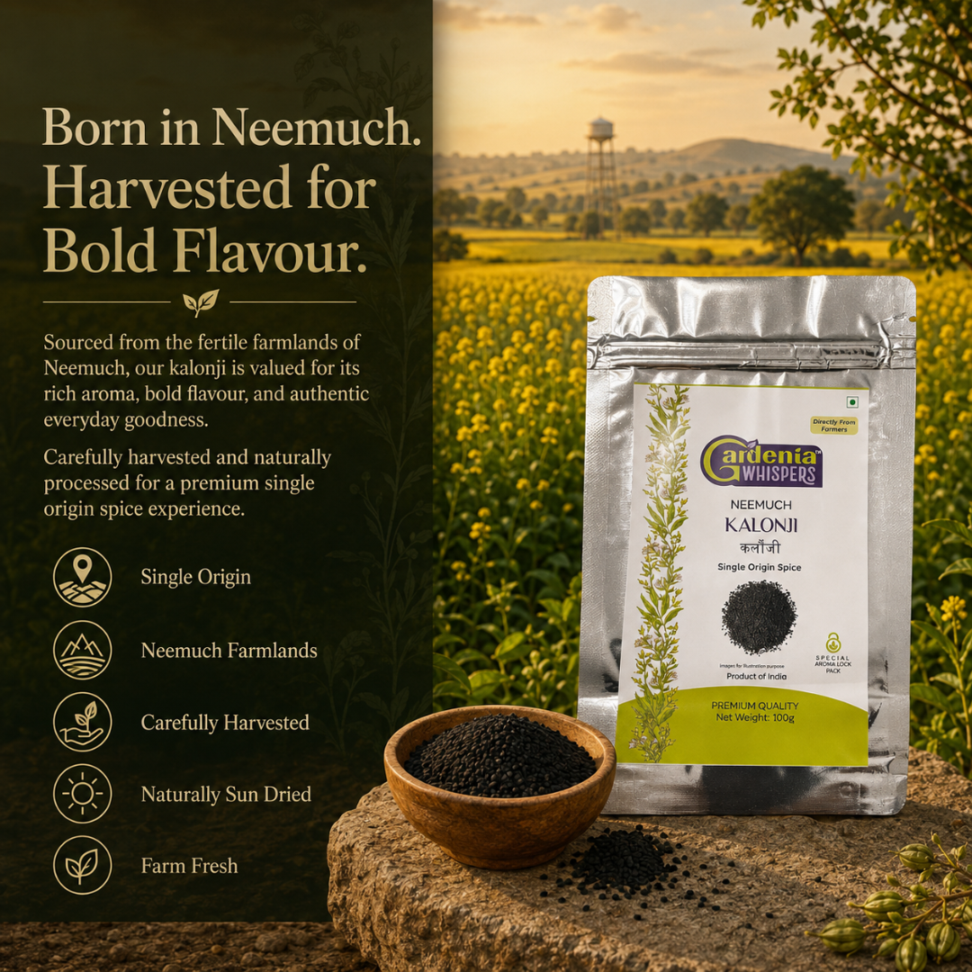 Neemuch Kalonji – Nigella Seeds (Black Cumin) from Rajasthan