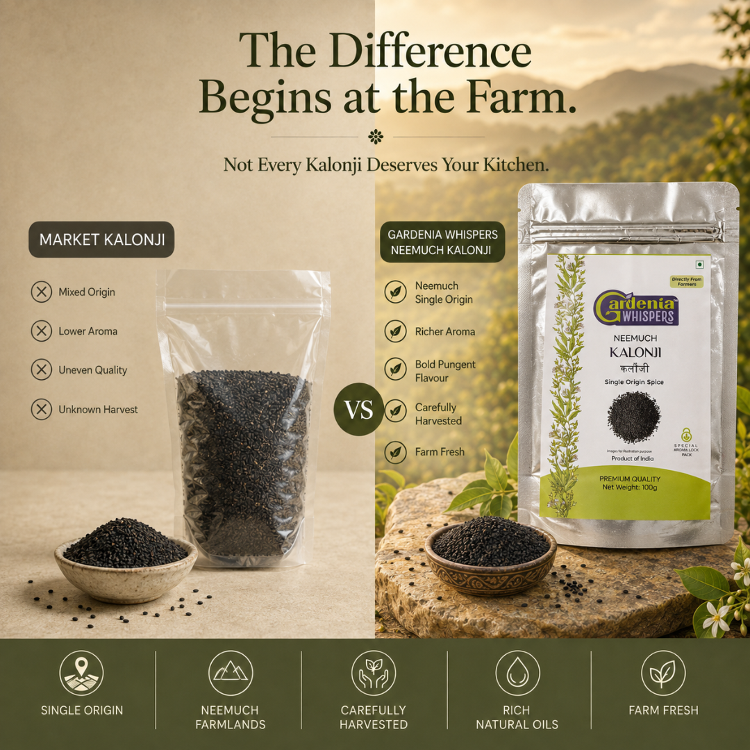Neemuch Kalonji – Nigella Seeds (Black Cumin) from Rajasthan