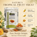 Alphonso Mango Bar – Sweet Aam Papad Snack 2