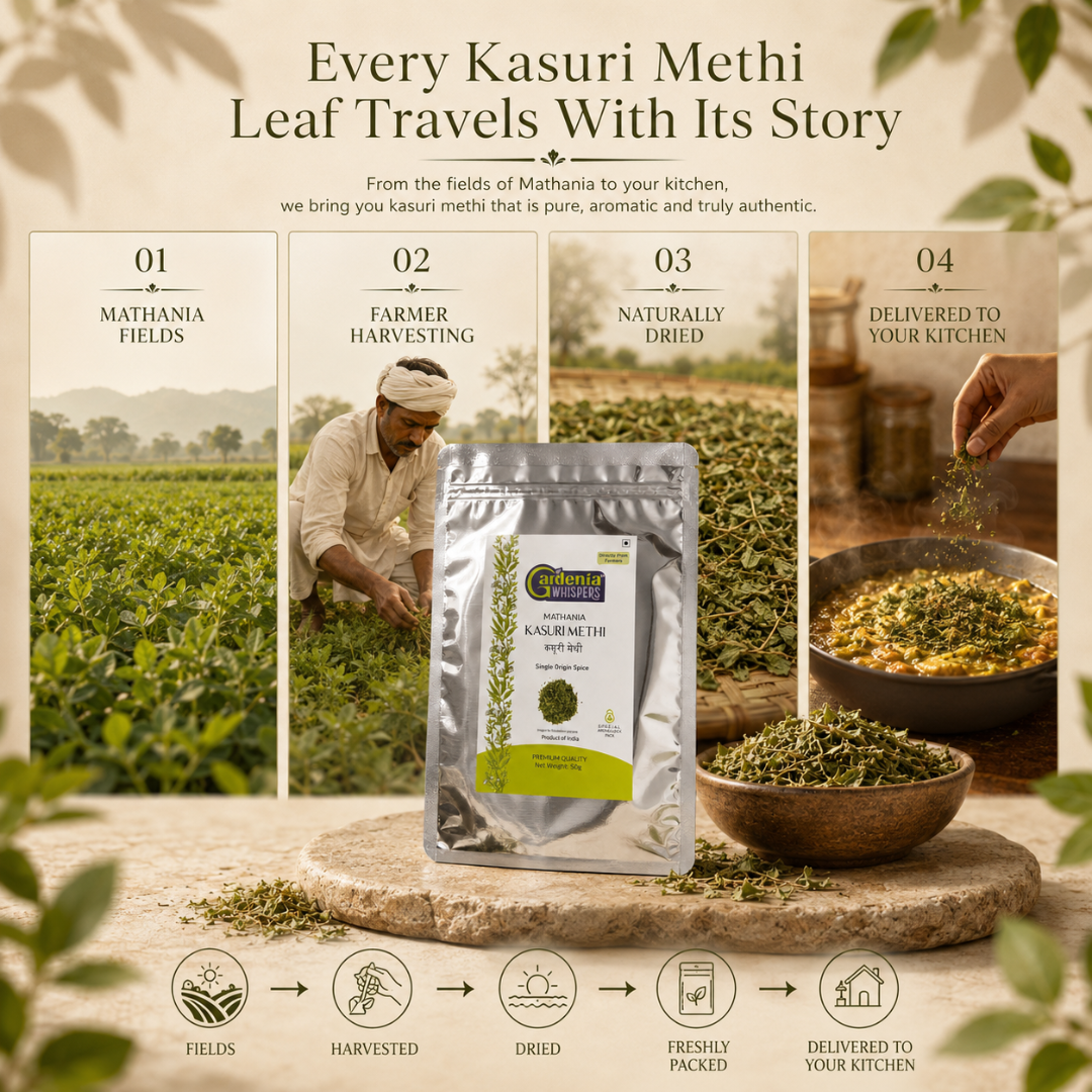 Mathania Kasuri Methi – Sun Dried Fenugreek Leaves from Rajasthan