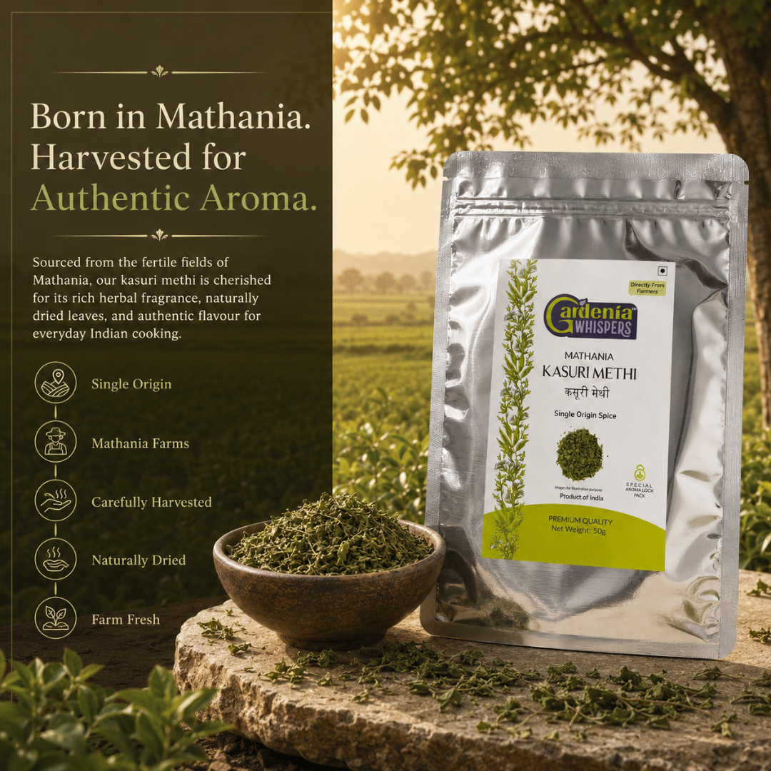 Mathania Kasuri Methi – Sun Dried Fenugreek Leaves from Rajasthan