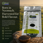 Neemuch Small Mustard - Potent Yellow Sarson Seeds 4