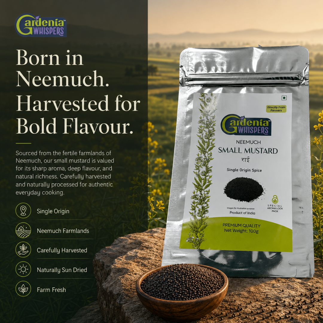 Neemuch Small Mustard - Potent Yellow Sarson Seeds