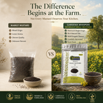 Neemuch Small Mustard - Potent Yellow Sarson Seeds 3