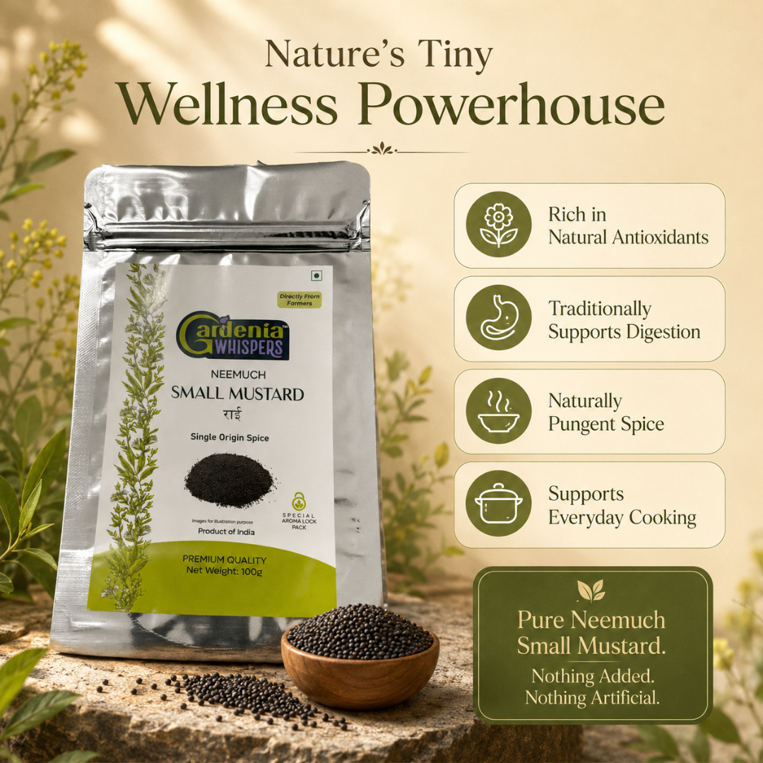 Neemuch Small Mustard - Potent Yellow Sarson Seeds
