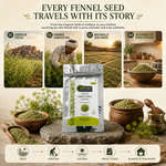 Jodhpur Fennel – Aromatic Rajasthani Saunf 6