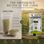 Jodhpur Fennel – Aromatic Rajasthani Saunf 3