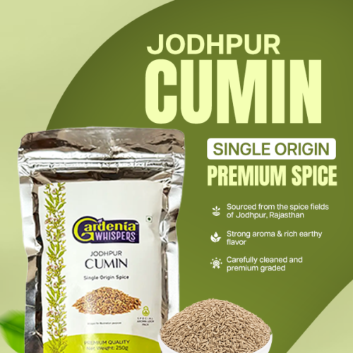 Jodhpur Cumin Jodhpur Cumin