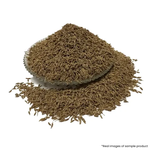 Jodhpur Cumin (जीरा)