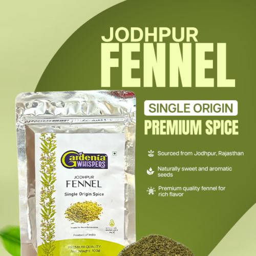 Jodhpur Fennel Jodhpur Fennel