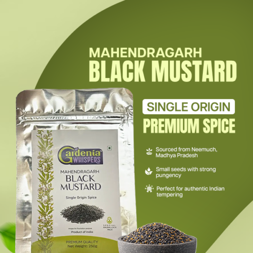 Black Mustard Mahendragarh Black Mustard
