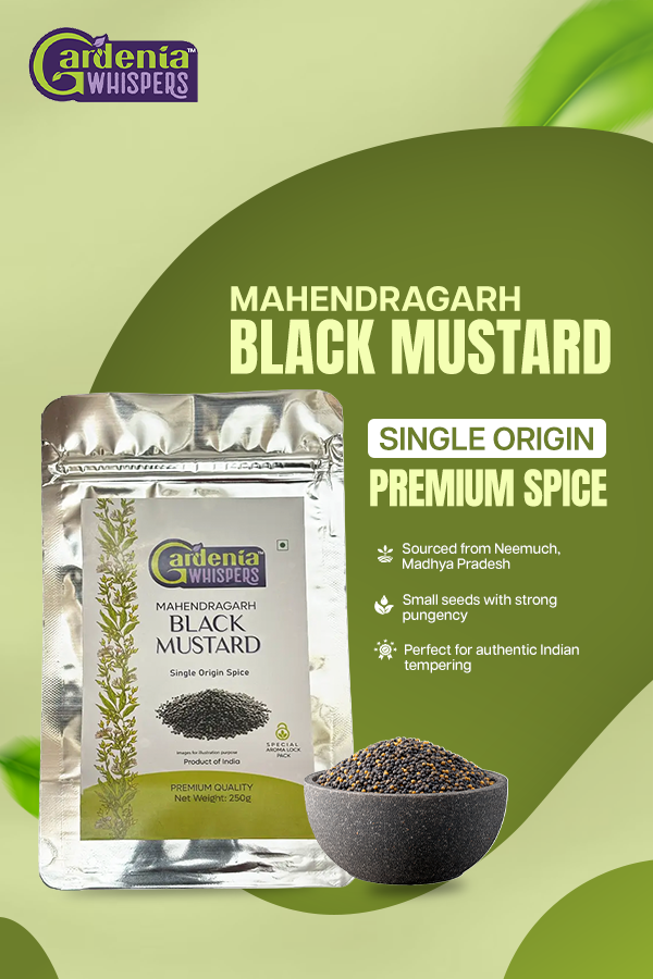 Mahendragarh Black Mustard