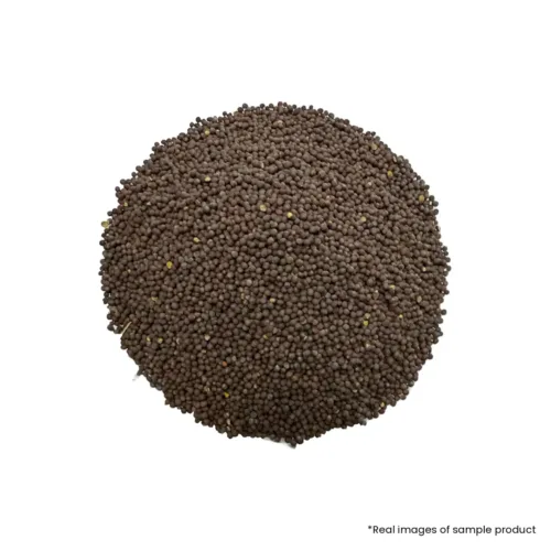Mahendragarh Black Mustard (काली सरसों)