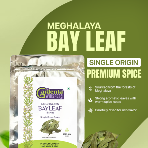 Meghalaya Bay Leaf Meghalaya Bayleaf