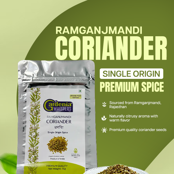 Ramganjmandi Coriander