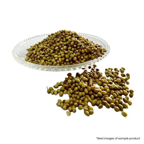 Ramganjmandi Coriander