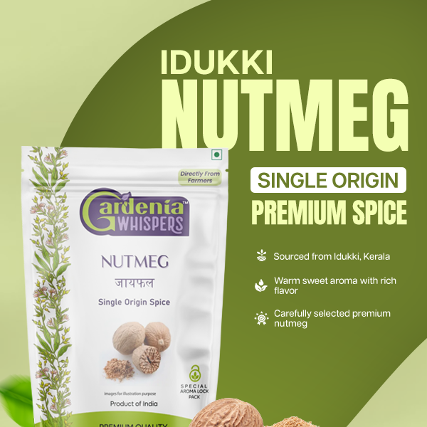 Idukki Shelled Nutmeg Idukki Shelled Nutmeg