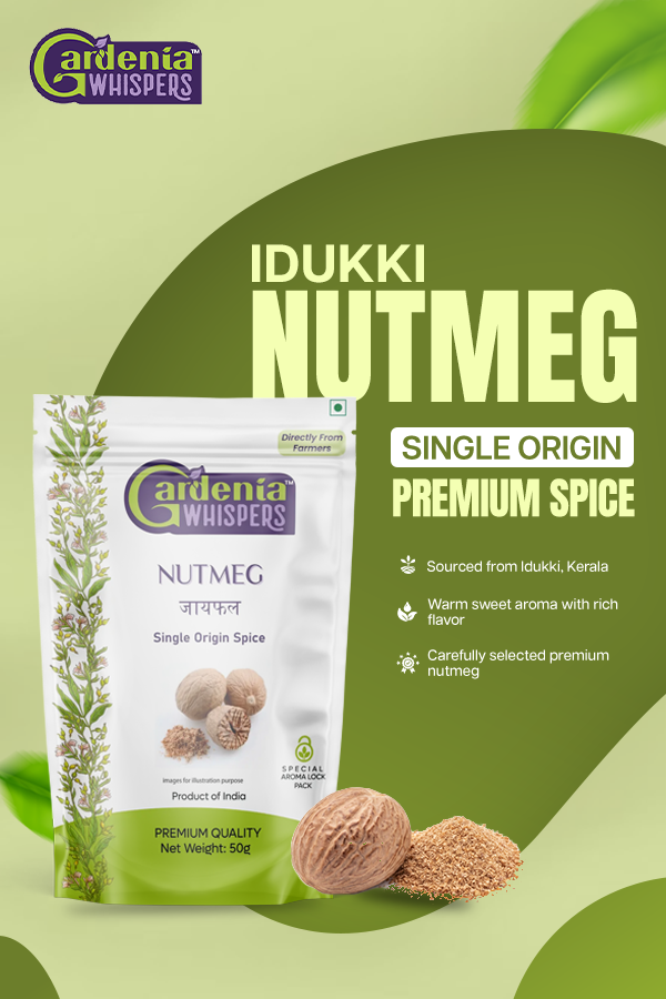 Idukki Shelled Nutmeg Idukki Shelled Nutmeg